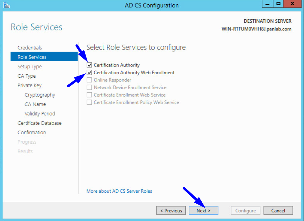 ad cs configuration role services
