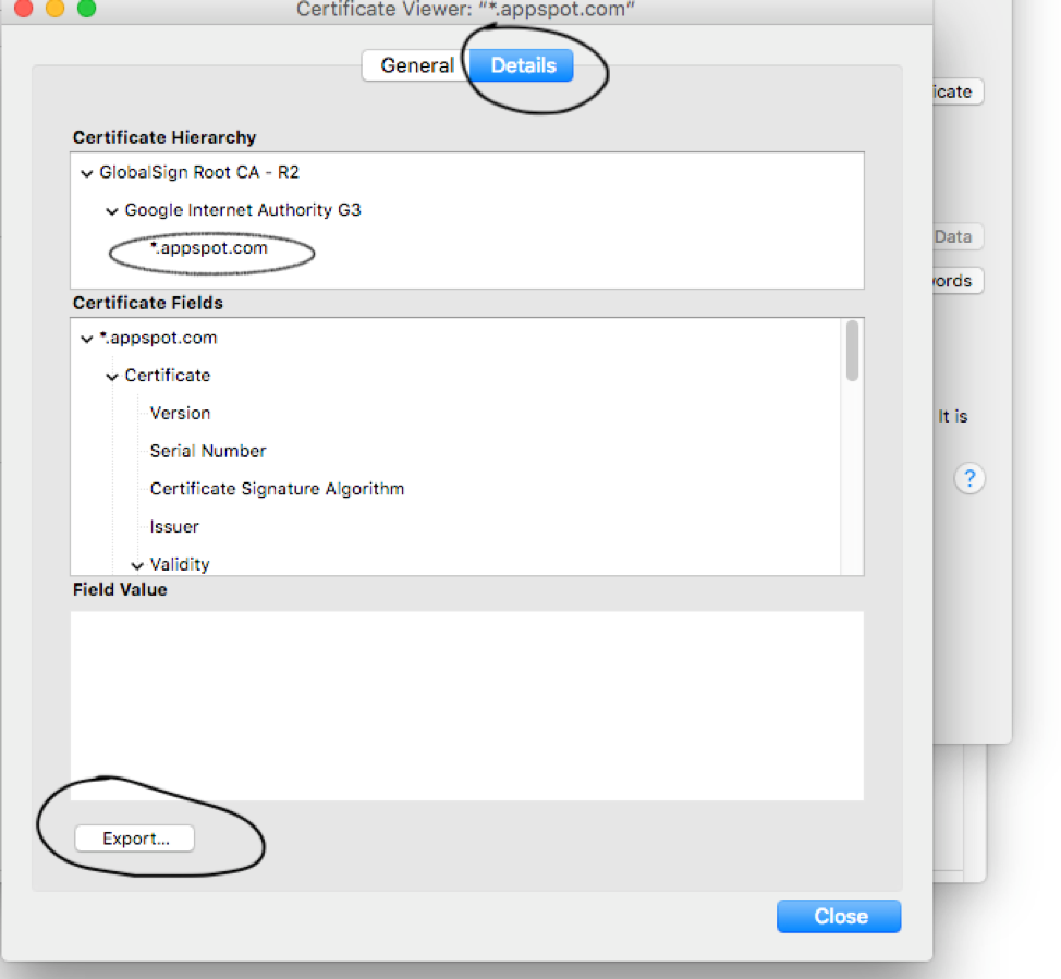 Imagen de usuario añadido