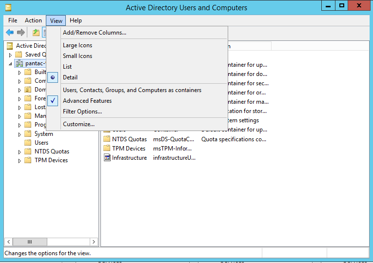 screenshot for advance option
