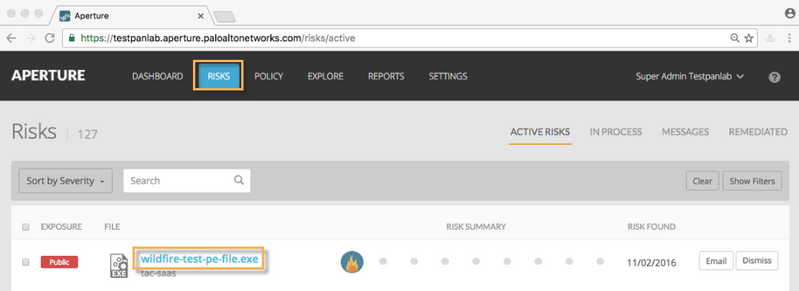 光圈-wildfire2. png