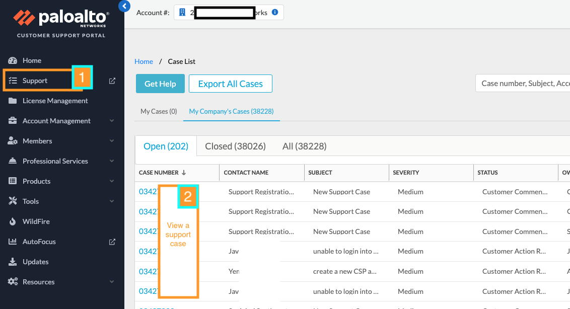 Customer Support Portal Page - Support Cases window