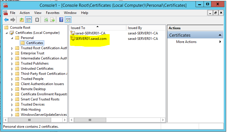 screenshot showing the server certificate