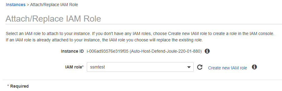 Instantánea que muestra el cuadro de diálogo Adjuntar/Reemplazar IAM rol dentro de AWS