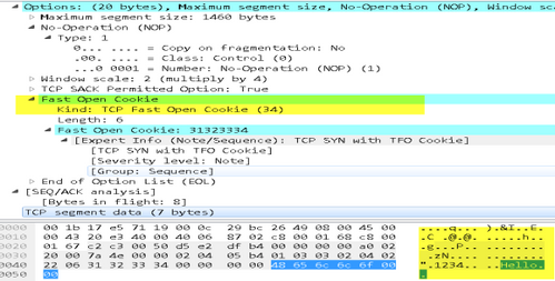 carga de datos SYN packetcapture. png