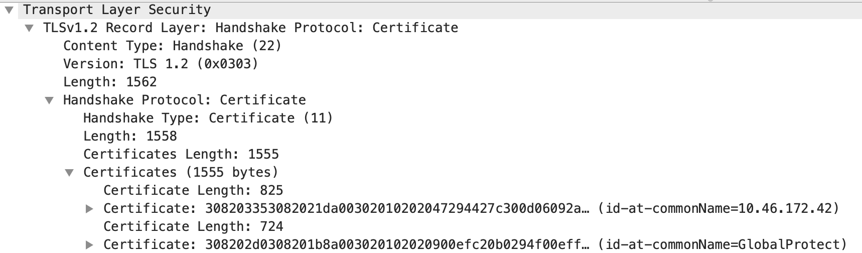 Pcap スニペット