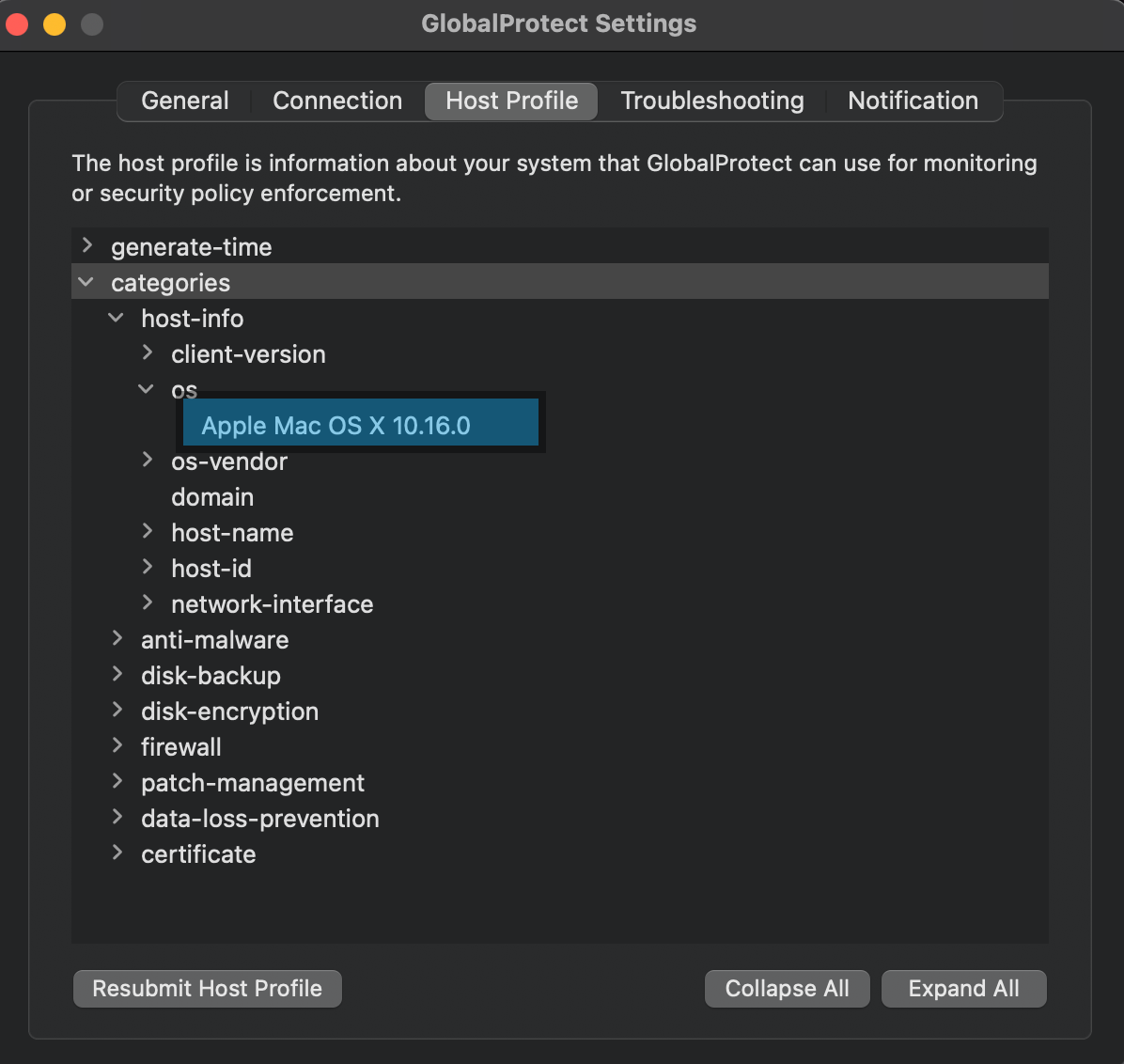 macOS-Hostprofil wird als 10.16 statt 11 angezeigt