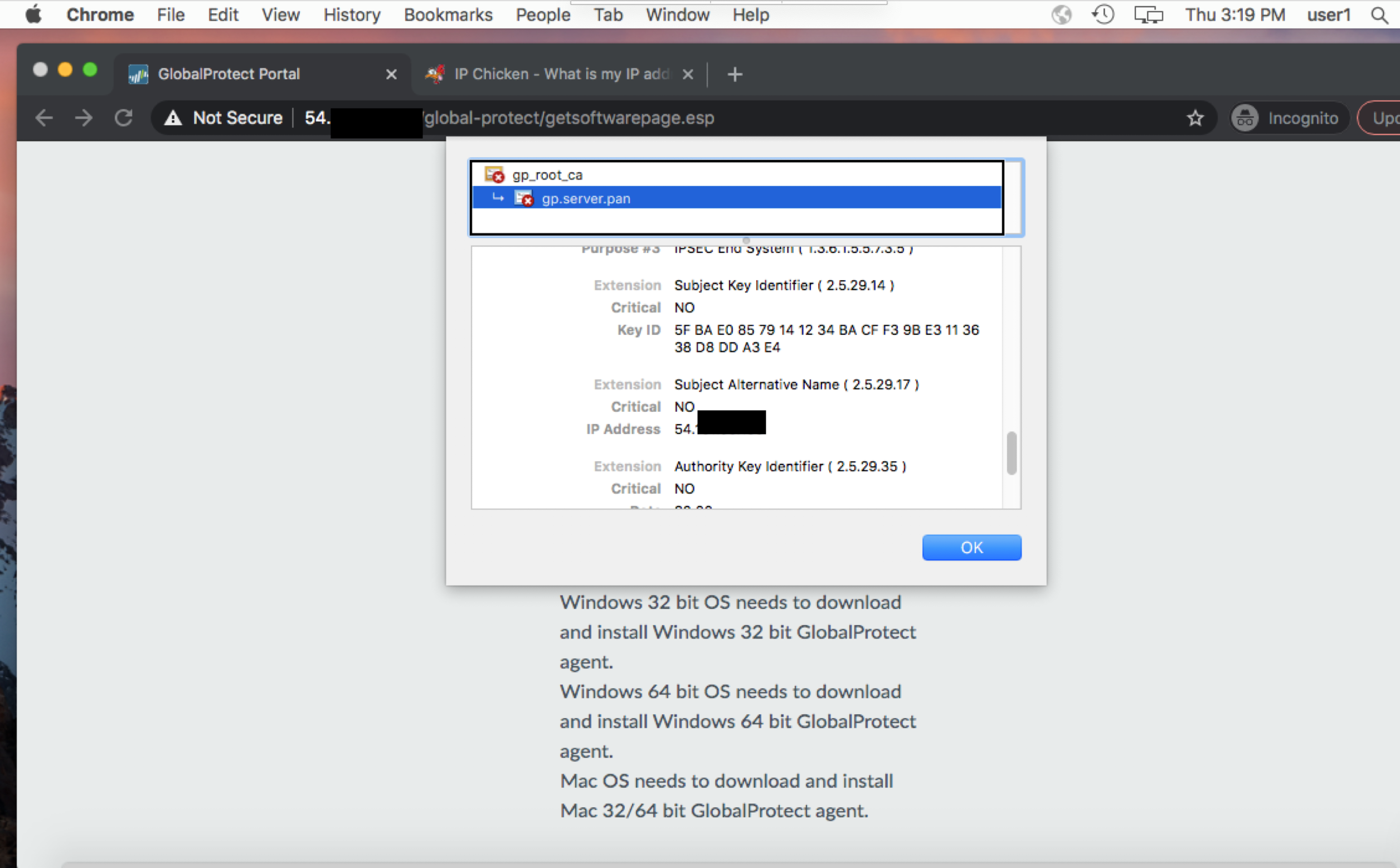 Snapshot displaying certificate with both the IP and DNS name configured