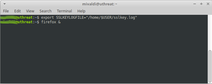 Launch Chromium or Firefox from the same terminal that has set the SSKLEYLOGFILE environmental variable.