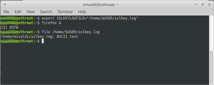 Verify that the sslkey.log file has been created.
