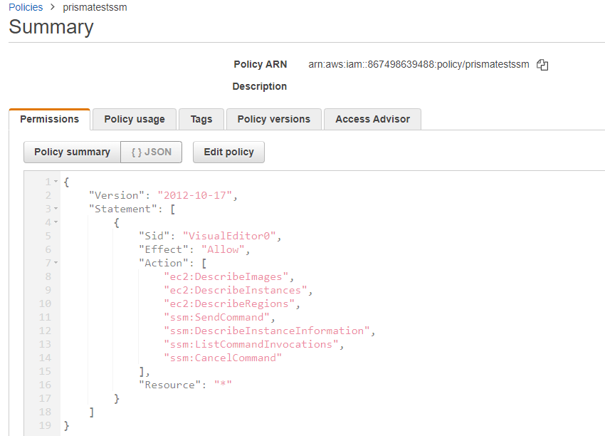 Snapshot displaying the JSON output within the AWS Policies Tab.