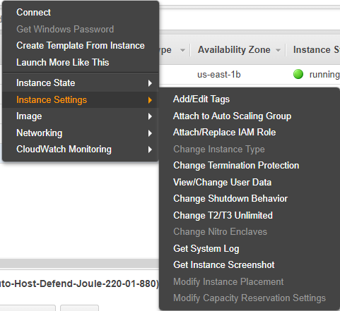 Snapshot displaying the Instance Settings options within AWS