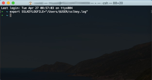 Legen Sie die Umgebungsvariable SSLKEYLOGFILE fest