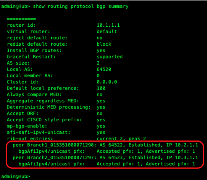 SDWAN-BGP-Ergebnisse.png