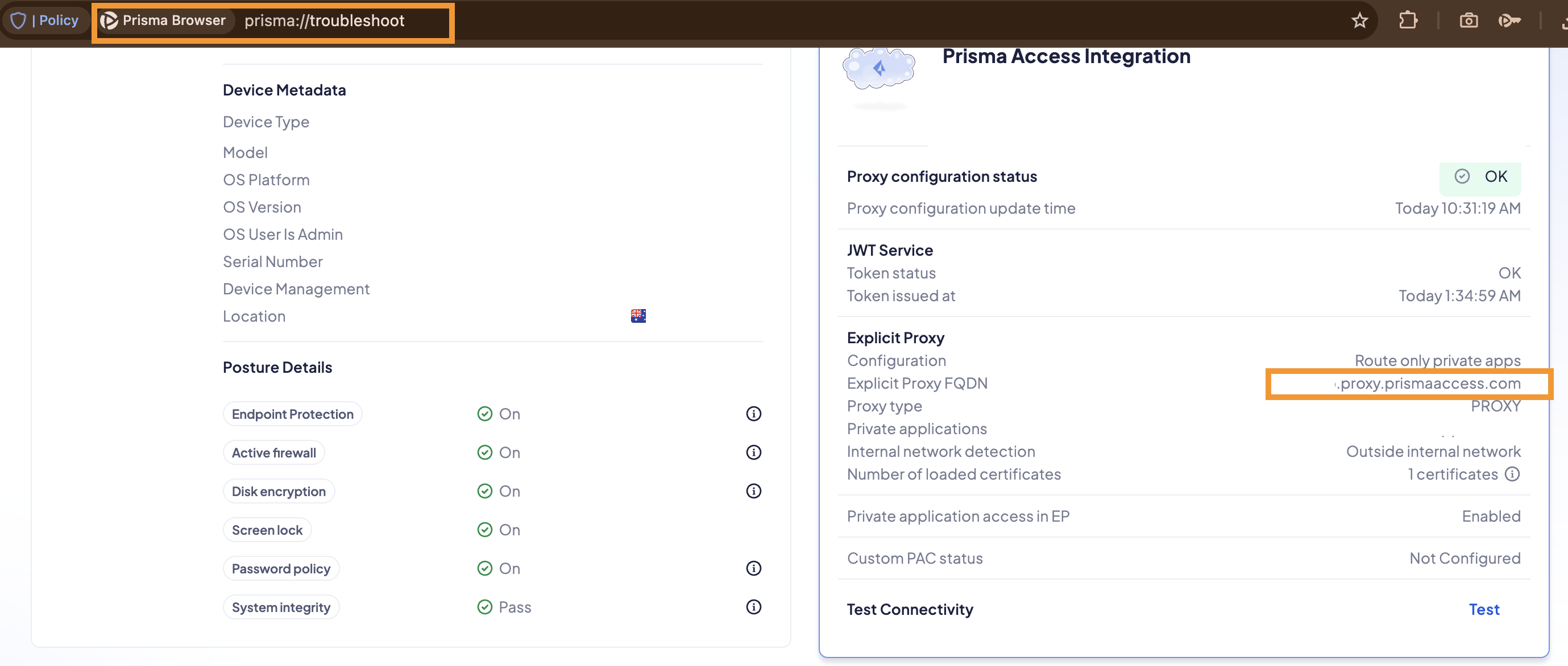 Prisma Troubleshoot page