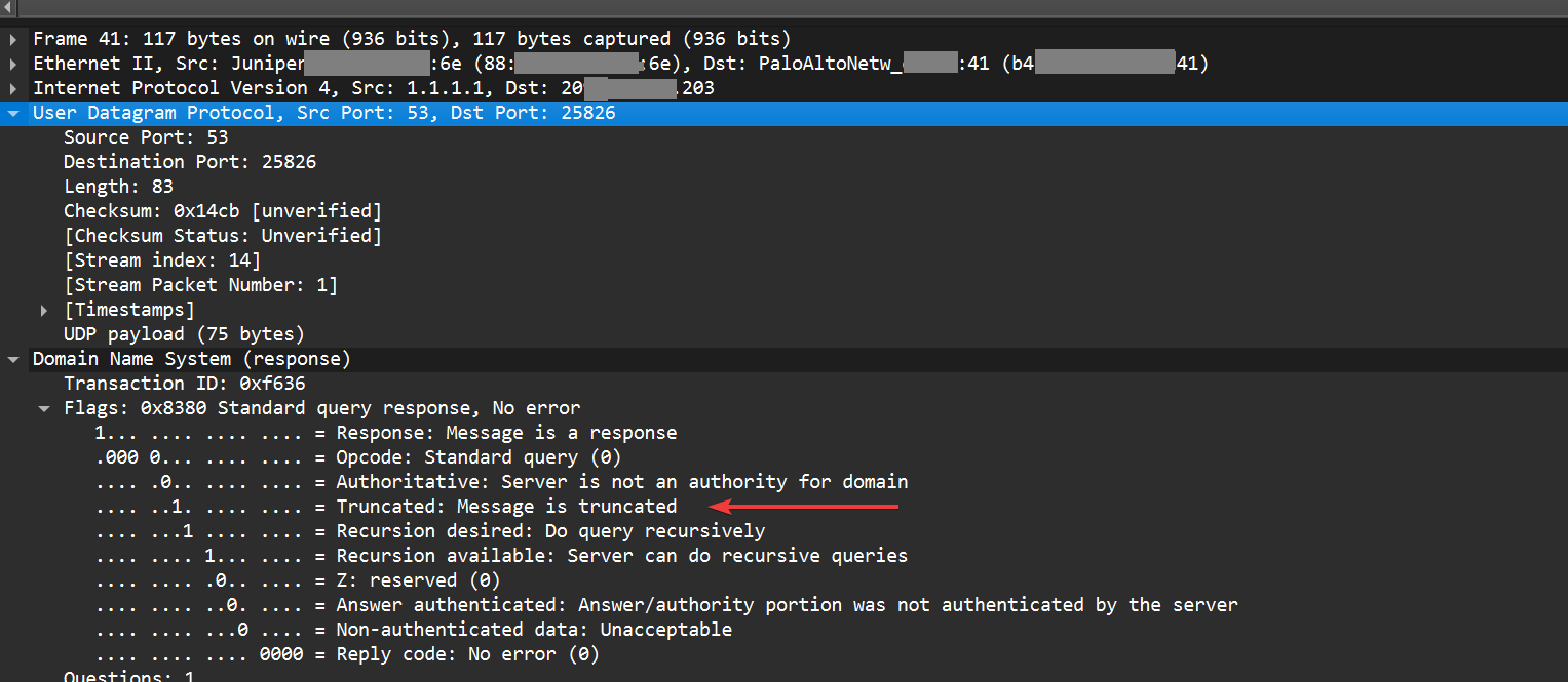 UDP DNS 