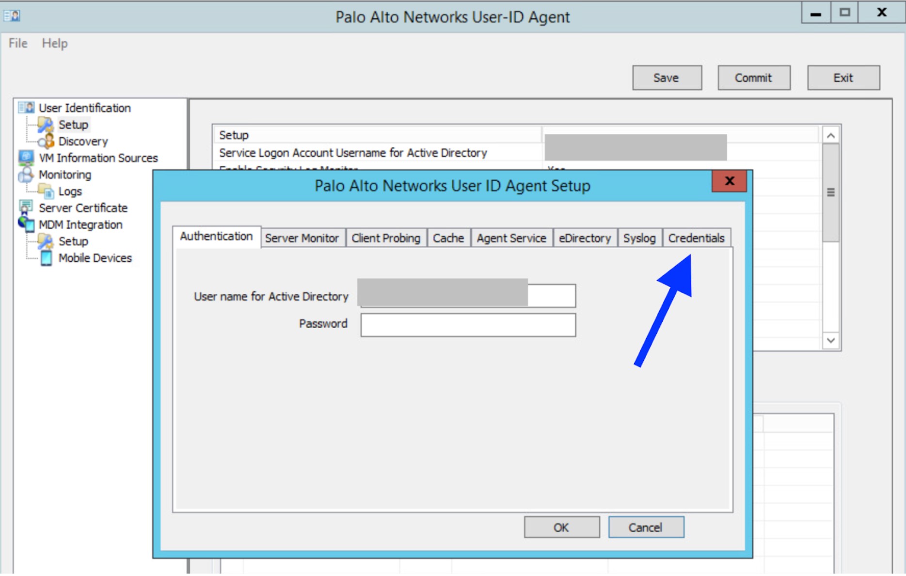 User ID credential Agent correctly displayed.