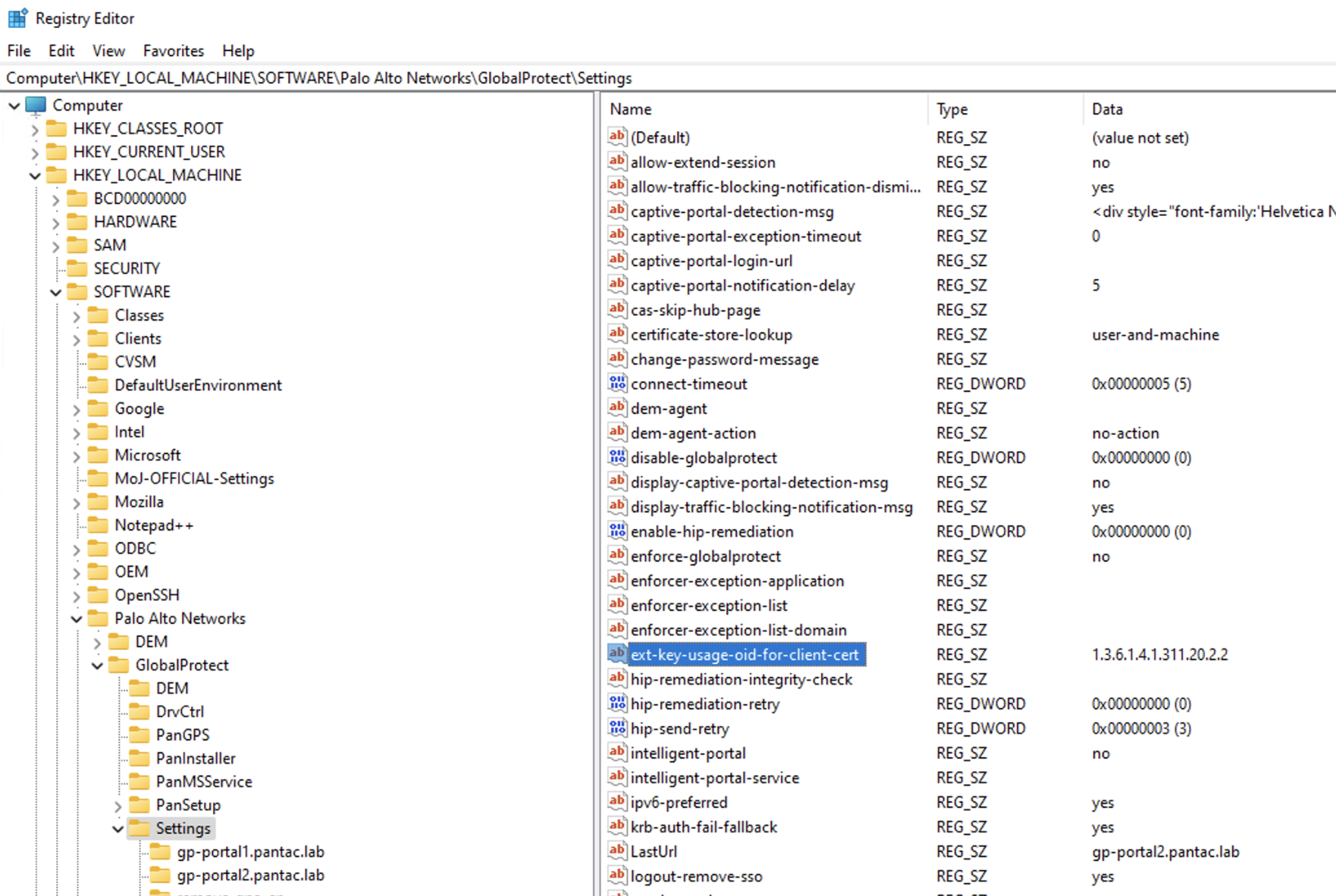 Registry Editor cert OID