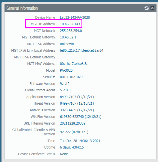 MGMT IP
