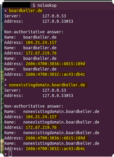 Wildcard DNS - Nslookup