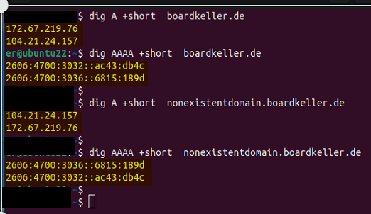 Wildcard DNS - Dig